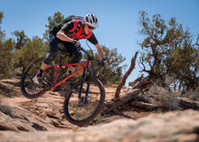 Load image into Gallery viewer, Esker Cycles Japhy Trail Hardtail Frame