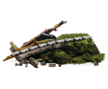 Load image into Gallery viewer, Campagnolo Ekar Groupset