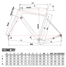 Load image into Gallery viewer, Cinelli King Zydeco Carbon Gravel framset Jambalaya