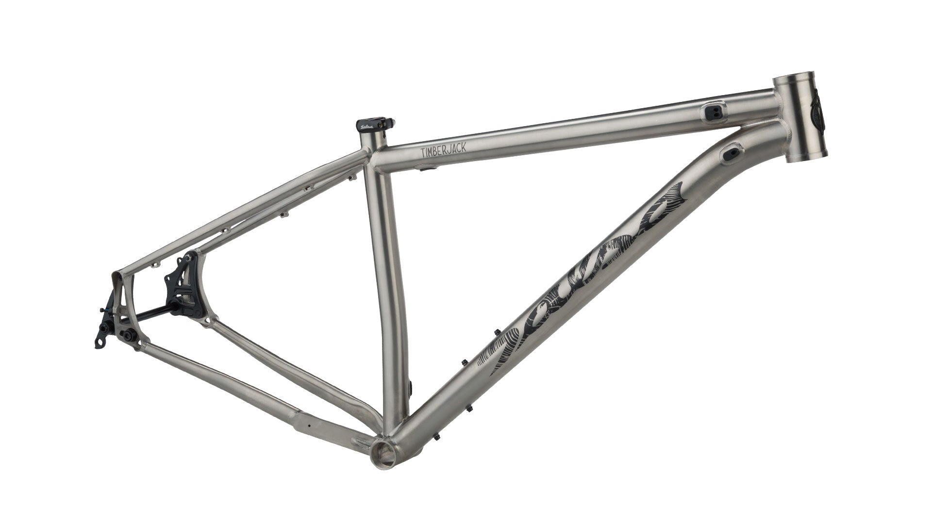 Salsa Timberjack Ti frame Large