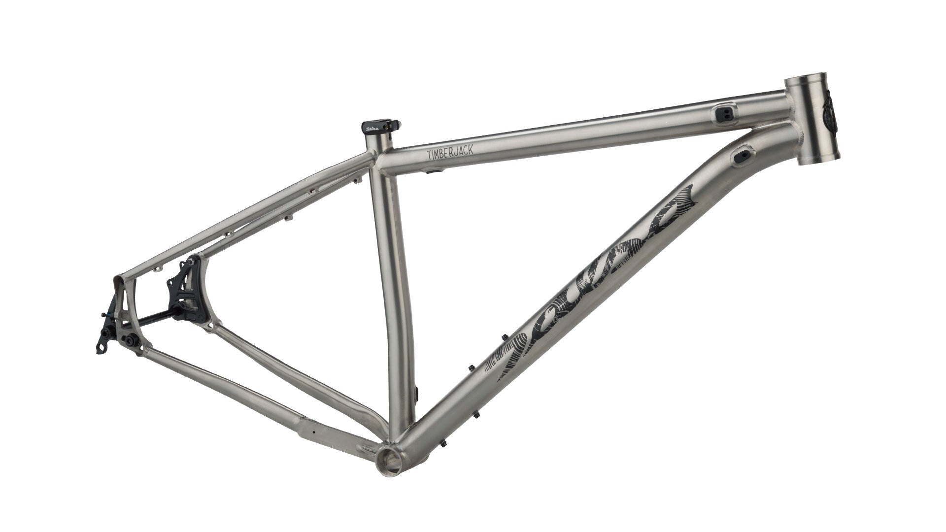 Mountain Bikes Tagged Salsa The Lions Cyclery